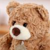 9.8 Inch Soft Teddy Bear Plush Toy, Cuddly Stuffed Animal for Kids & Toddlers, Brown Fluffy Plushie, Gift for Birthday, Valentine's Day, Christmas (Light Brown) view 2
