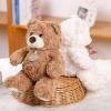 9.8 Inch Soft Teddy Bear Plush Toy, Cuddly Stuffed Animal for Kids & Toddlers, Brown Fluffy Plushie, Gift for Birthday, Valentine's Day, Christmas (Light Brown) view 3
