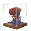 Clear Acrylic Display Case with Solid Wood Base for Trophy, Collectibles, Assemble Cube Display Box Stand Dust Proof Protection Showcase for Action Figures,16x16x12in(LxWxH) view 1