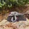 Dinosaur Model Set,Plastic Ancient Animal Figure with Scenic Display Base for Kids Adults Collectors view 2