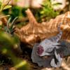 Dinosaur Model Set,Plastic Ancient Animal Figure with Scenic Display Base for Kids Adults Collectors view 3