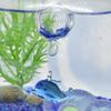 Falkart Cute Handmade Glasswork Float Dolphin Flower Width: 0.8 inches (20 mm) Ball: 0.8 inches (20 mm) view 2