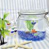 (Castle Enterprise) Faukart Cute Handmade Glasswork Floating Clown Fish Width: 0.8 inches (20 mm) Ball: 0.8 inches (20 mm) view 3