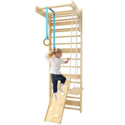 6-in-1 Swedish Ladder, Climbing Wall for Kids and Adults Indoor, Wooden Indoor Jungle Gym, Wall Ladder, Core Strengthening and Stretching Balanced for Body Exercises