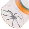 BESPORTBLE 2pcs Magnifying Box Viewer Magnifier Container Jar for Boys and Girls Catcher Toy and Insects for Boys and Girls Bug Collection Kit view 2