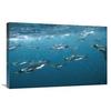 20 x 30 in. King Penguin Group Swimming Underwater, Macquarie Island Art Print - Tui De Roy view 1