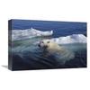 12 x 18 in. Polar Bear Swimming, Wager Bay, Canada Art Print - Flip Nicklin view 1