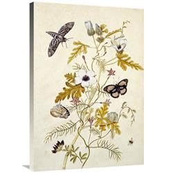 36 in. Scabious & a Cupid Flower Art Print - Thomas Robins Jr.