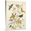 36 in. Scabious & a Cupid Flower Art Print - Thomas Robins Jr. view 1