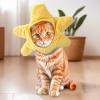 5 Pcs Cat Costume Hats, Cat Cosplay Costumes with Banana Pineapple Starfish Pumpkin Rabbit Hats Headwear, Ideal for Cats Small Pets Kitten Puppy Party Costume view 2