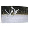 24 x 36 in. Red-Crowned Crane Pair Courting, Hokkaido, Japan Art Print - Konrad Wothe view 1