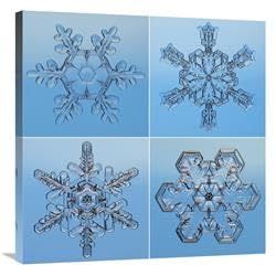 30 x 30 in. Snowflakes Seen Through Microscope Art Print - Steve Gettle