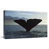 16 x 24 in. Sperm Whale Diving, New Zealand Art Print - Flip Nicklin view 1