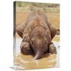 16 x 24 in. Orphan Baby Isholta Playing in Mud Bath, Tsavo East NP, Kenya Art Print - Gerry Ellis view 1
