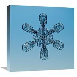 18 x 18 in. Snowflake Seen Through Microscope Art Print - Steve Gettle