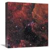 16 in. Wide View of Supernova 1987A Art Print - Hubble Space Telescope view 1