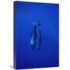 16 x 24 in. Sperm Whale Trio Diving, Sri Lanka Art Print - Flip Nicklin view 1