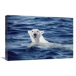 16 x 24 in. Polar Bear Swimming, Baffin Island, Nunavut, Canada Art Print - Flip Nicklin