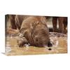 16 x 24 in. Orphaned Baby Isholta Playing in Mud Bath, Tsavo East NP, Kenya Art Print - Gerry Ellis view 1