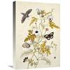 22 in. Scabious & a Cupid Flower Art Print - Thomas Robins Jr. view 1