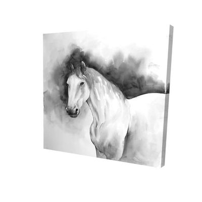 16 x 16 in. Domino Horse-Print on Canvas
