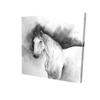 16 x 16 in. Domino Horse-Print on Canvas view 1
