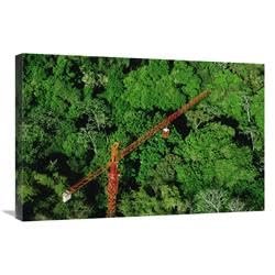 20 x 30 in. Rainforest Canopy Research Crane, STRI, Panama Art Print - Mark Moffett