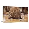12 x 18 in. Orphaned Baby Isholta Playing in Mud Bath, Tsavo East NP, Kenya Art Print - Gerry Ellis view 1