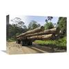 12 x 18 in. Truck with Timber from A Logging Area, Danum Valley Conservation Area, Borneo, Malaysia Art Print - Thomas Marent view 1