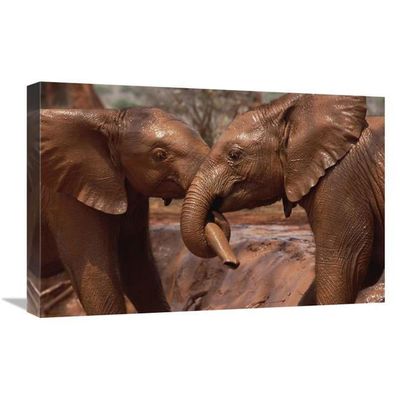 16 x 24 in. Orphans Natumi & Idle Playing in Mud Bath Tsavo East NP Kenya Art Print - Gerry Ellis