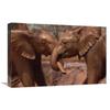 16 x 24 in. Orphans Natumi & Idle Playing in Mud Bath Tsavo East NP Kenya Art Print - Gerry Ellis view 1