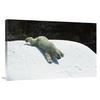 24 x 36 in. Polar Bear Sliding Down Snow Bank, Native to Canada Art Print - San Diego Zoo view 1
