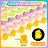36PCS Luminous Mini Resin Capybara Miniature Capybara Figurines Glow in The Dark, Cute Tiny Capybaras Toys for Crafts Fairy Garden Landscape Capybaras Birthday Decorations (6 Style) view 3