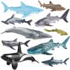 SCAHOW 12pcs Sea Animal Figures, Realistic Small Ocean Animal Toys Set with Whale Shark Octpus view 1
