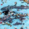 SCAHOW 12pcs Sea Animal Figures, Realistic Small Ocean Animal Toys Set with Whale Shark Octpus view 3