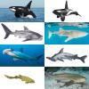 SCAHOW 12pcs Sea Animal Figures, Realistic Small Ocean Animal Toys Set with Whale Shark Octpus view 4