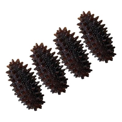 BESPORTBLE 4pcs Realistic Decorative Sea Cucumber Models Lightweight Fake Food Props for Restaurant Simulation for Photography Teaching Home Decoration Pretend Play