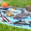 18pcs Ocean Animal Figurines - Realistic Sea Creatures Toys - Sharks, Dolphins, Penguins, Turtles, Octpus & More for Kids Toddlers 3 4 5 6 7 Years Old view 4