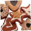 INOOMP 6pcs Realistic Fake Cookies Chocolate Dessert Model: Simulation Food Props for Photography Party Decoration Doll House view 4