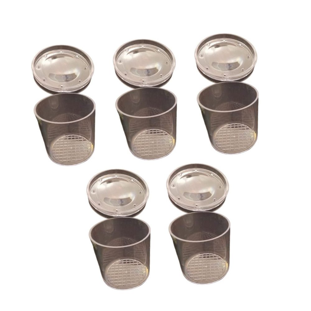BESPORTBLE 5pcs Observation Box Viewer for Boys and Girls Bug Toys Educational Exploration Tool Boys and Girls Biology Science Toy