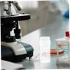 PRETYZOOM 10pcs Microscope Slide Staining Tank Slide Rack Staining Jars High Transparency view 4