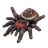 BESPORTBLE Spider Hand Puppet for Interactive Plastic Puppets Random Patterns Educational Animal Gloves for Role Play and Creative Expression view 1