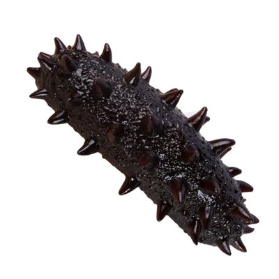 BESPORTBLE Artificial Sea Cucumber Decor Realistic Simulation Model for Kitchen and Restaurant Display Educational Plaything for Home Decor and Lightweight