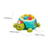 LIOOBO Whack Tortoise Game Early Educational for Interactive Hammer Pounding Tortoise Game Fun and Engaging Activity to Enhance Reaction and Concentration Skills view 2