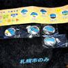 Hokkaido Sapporo City Tram 4-Piece Local Tram Magnet view 2