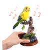 HANABASS Educational Talking Parrot Toy Electric Bird Toy for Boys and Girls Recording Repeating view 3