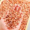 100PCS Mini Capybara Decor Resin Tiny capybaras for Crafts Micro Miniature Capybara for Fairy Garden Dollhouse Micro Landscaping Decoration view 1