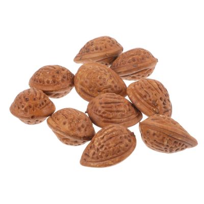 Yardwe 3sets 10pcs Artificial Almonds Lifelike Faux Decorations for Home Table and Photography Props Realistic Miniature Almond Models for Unique Displays and 10pcs*3