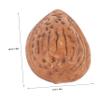 Yardwe 3sets 10pcs Artificial Almonds Lifelike Faux Decorations for Home Table and Photography Props Realistic Miniature Almond Models for Unique Displays and 10pcs*3 view 2