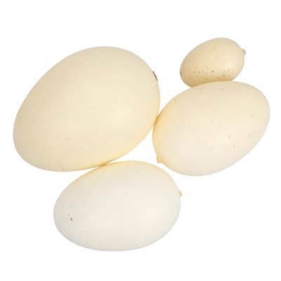 Toddmomy 4pcs Simulation Bird Eggs Model for Boys and Girls Lifelike Speckled Egg Toys for Educational Play